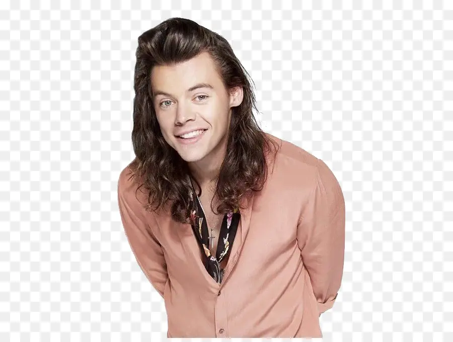 Harry Styles，Una Dirección PNG