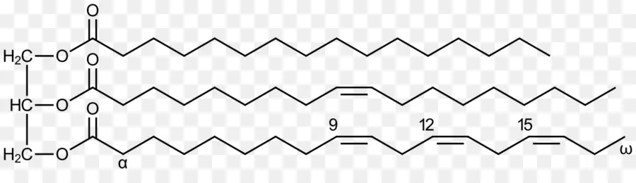 Triglicéridos，ácidos Grasos PNG
