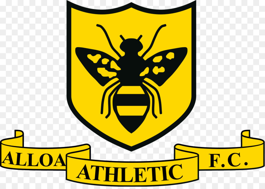 Alloa Athletic Fc，Athletic De Bilbao PNG