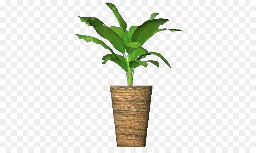 Banana，Planta PNG