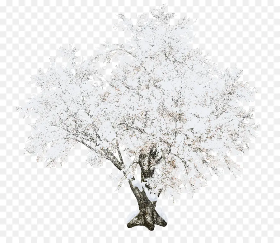 La Nieve，árbol PNG