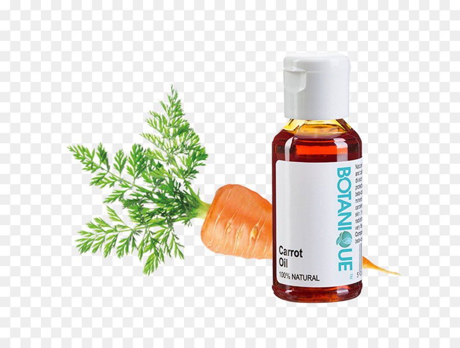 Aceite De Semilla De Zanahoria，Zanahoria PNG