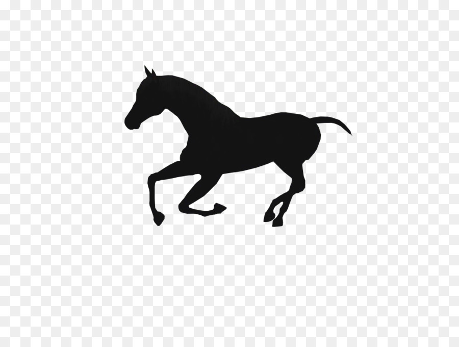 Caballo Negro，Caballo PNG