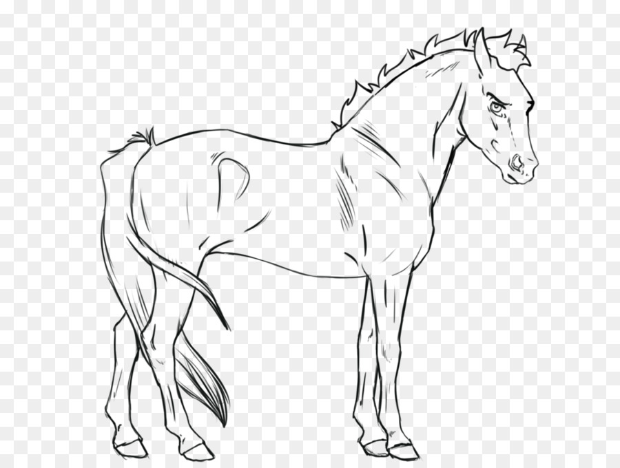 Caballo Blanco，Melena PNG