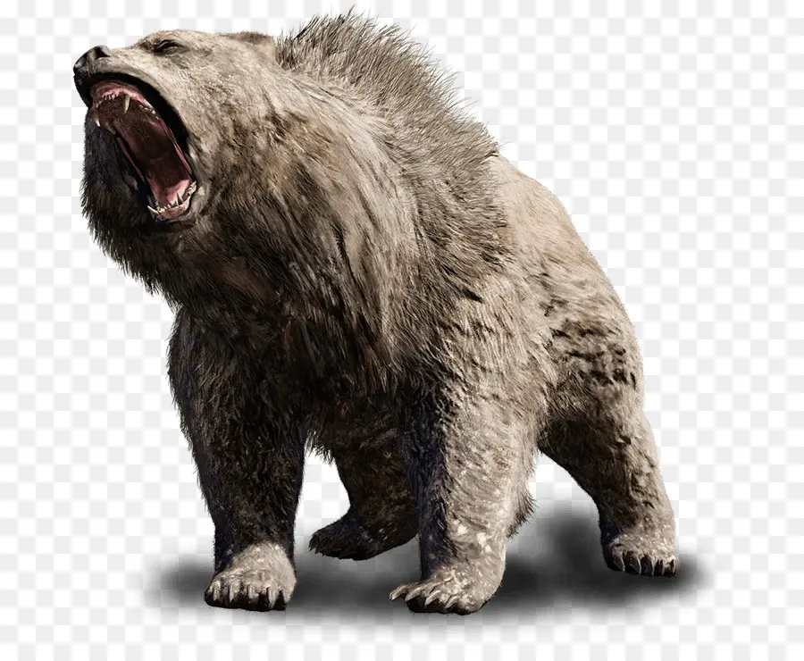 Far Cry Primal，Oso Pardo PNG