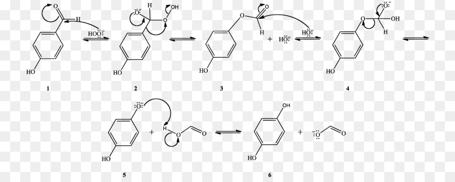 Reacción Química，Molécula PNG