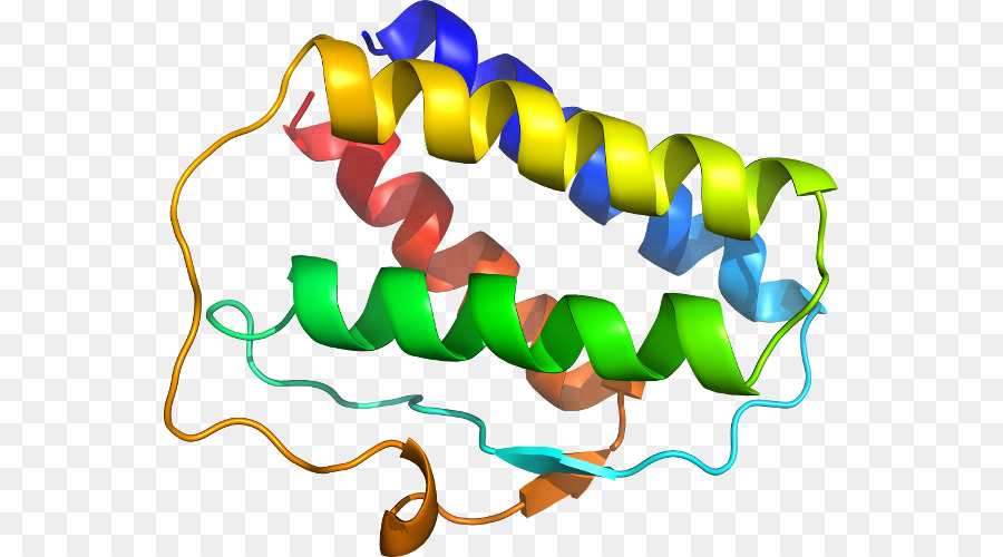 Hélice De Proteína，Molécula PNG