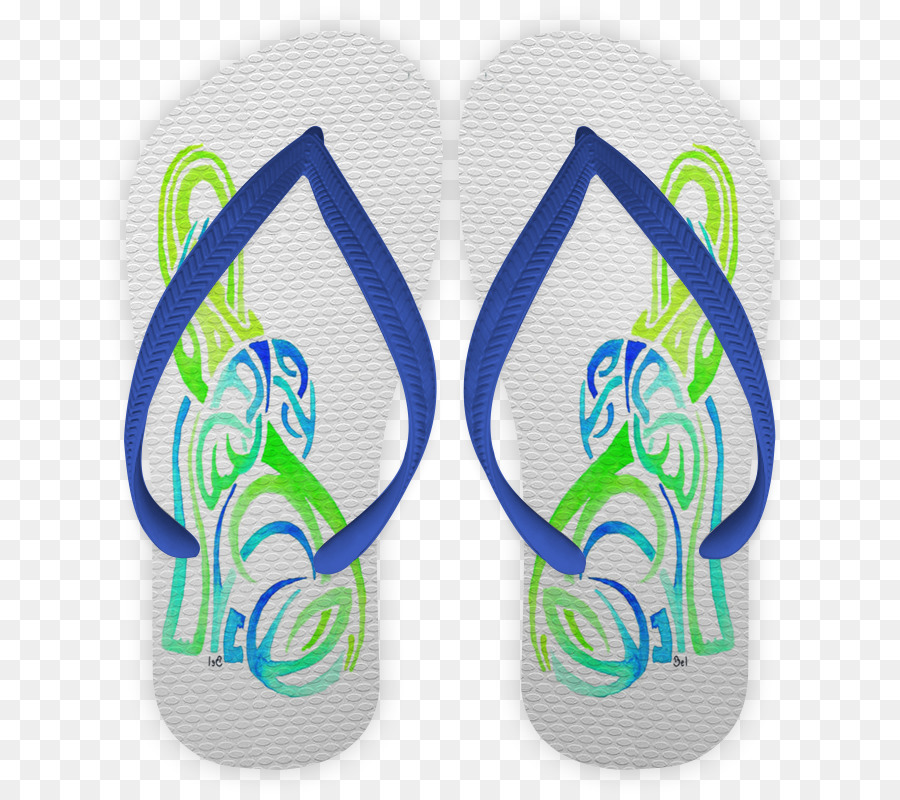 Chanclas，Shoe PNG