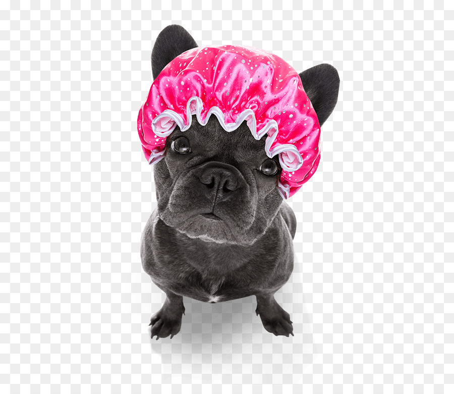 Perro Con Gorro De Ducha，Mascota PNG