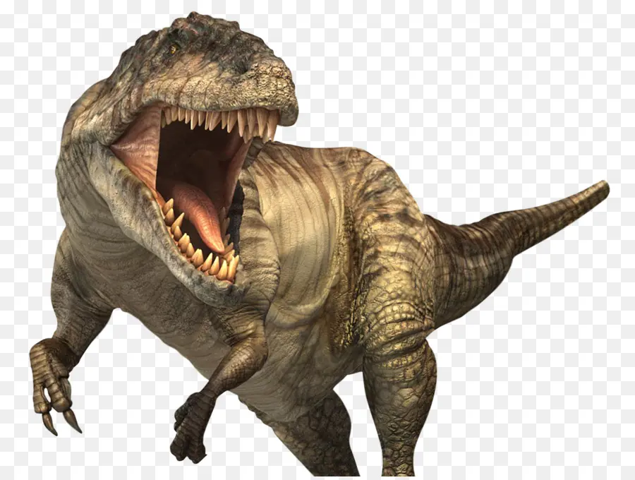 Gigantosauro，Tyrannosaurus PNG