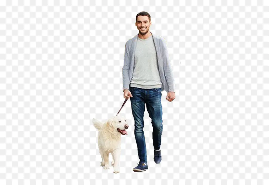 Hombre Paseando Perro，Mascota PNG