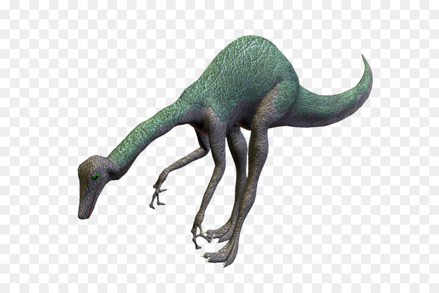 Velociraptor，Photoscape PNG