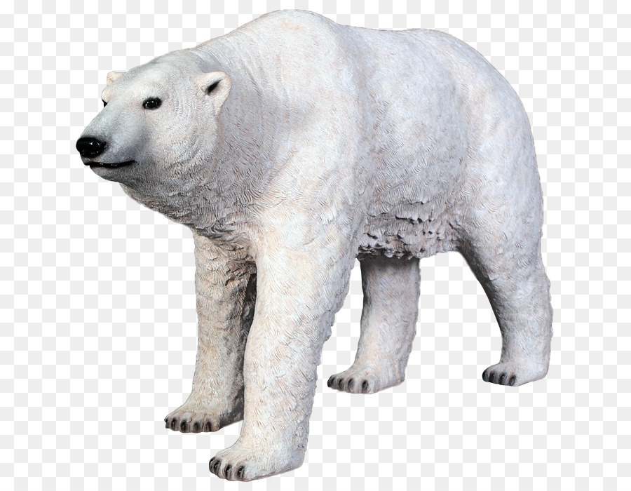 Oso Polar，Ártico PNG