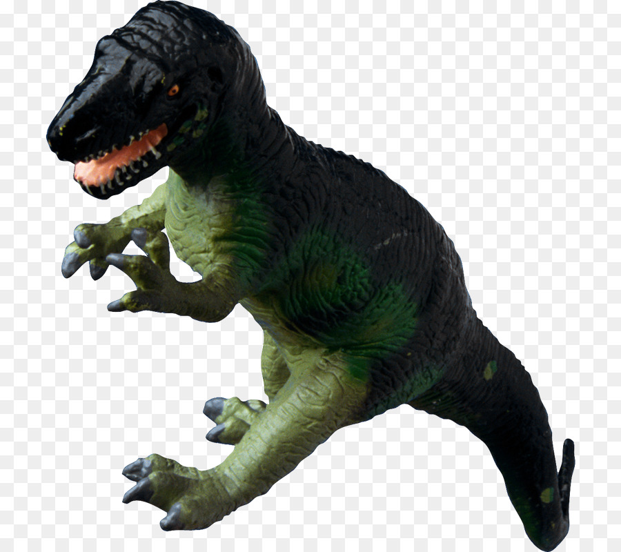 Tyrannosaurus，Dinosaurio PNG