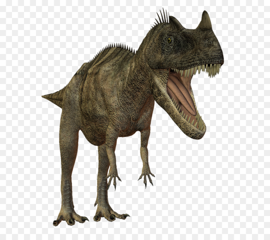Tiranosaurio，Dinosaurio PNG
