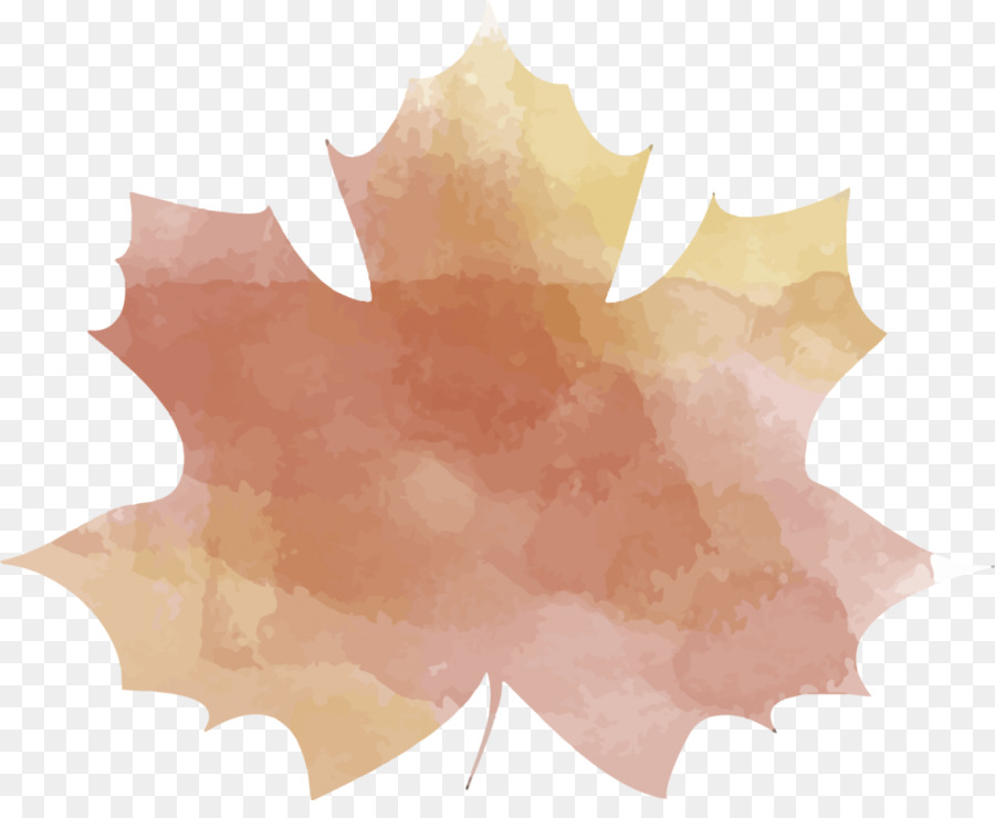 Hoja De Otoño，Caer PNG