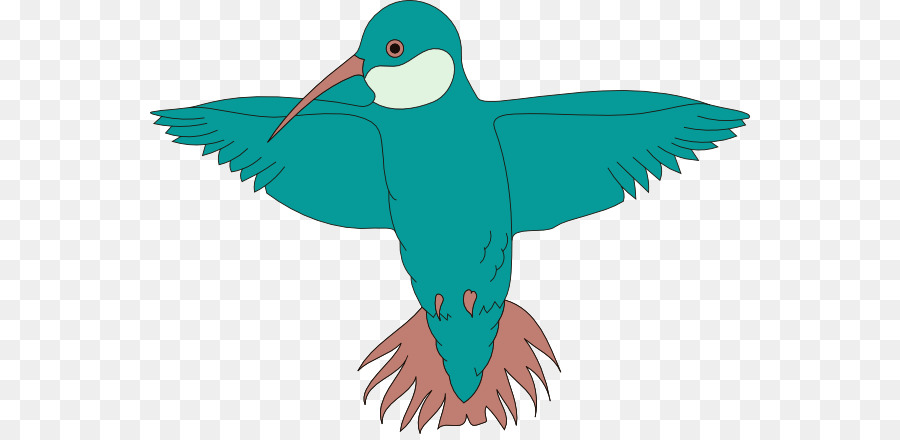 Pájaro，Colibrí PNG