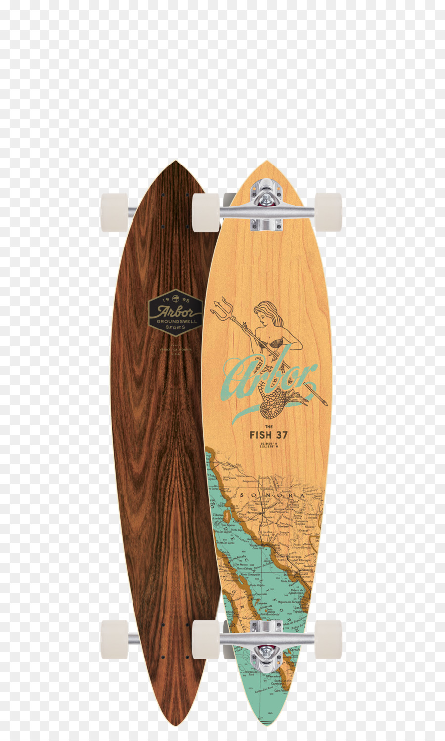 Longboard，Patineta PNG