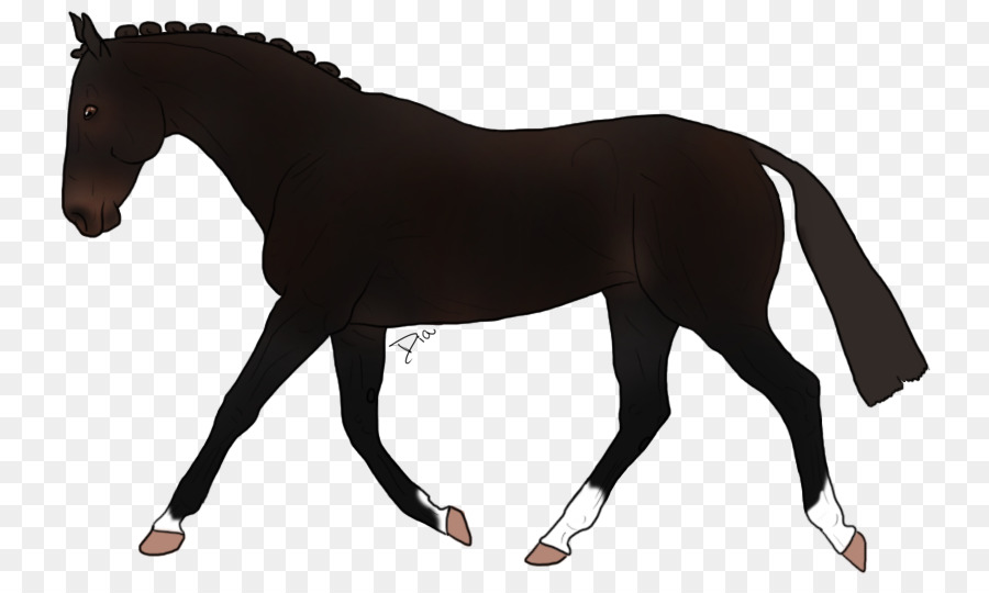 Caballo，Equino PNG