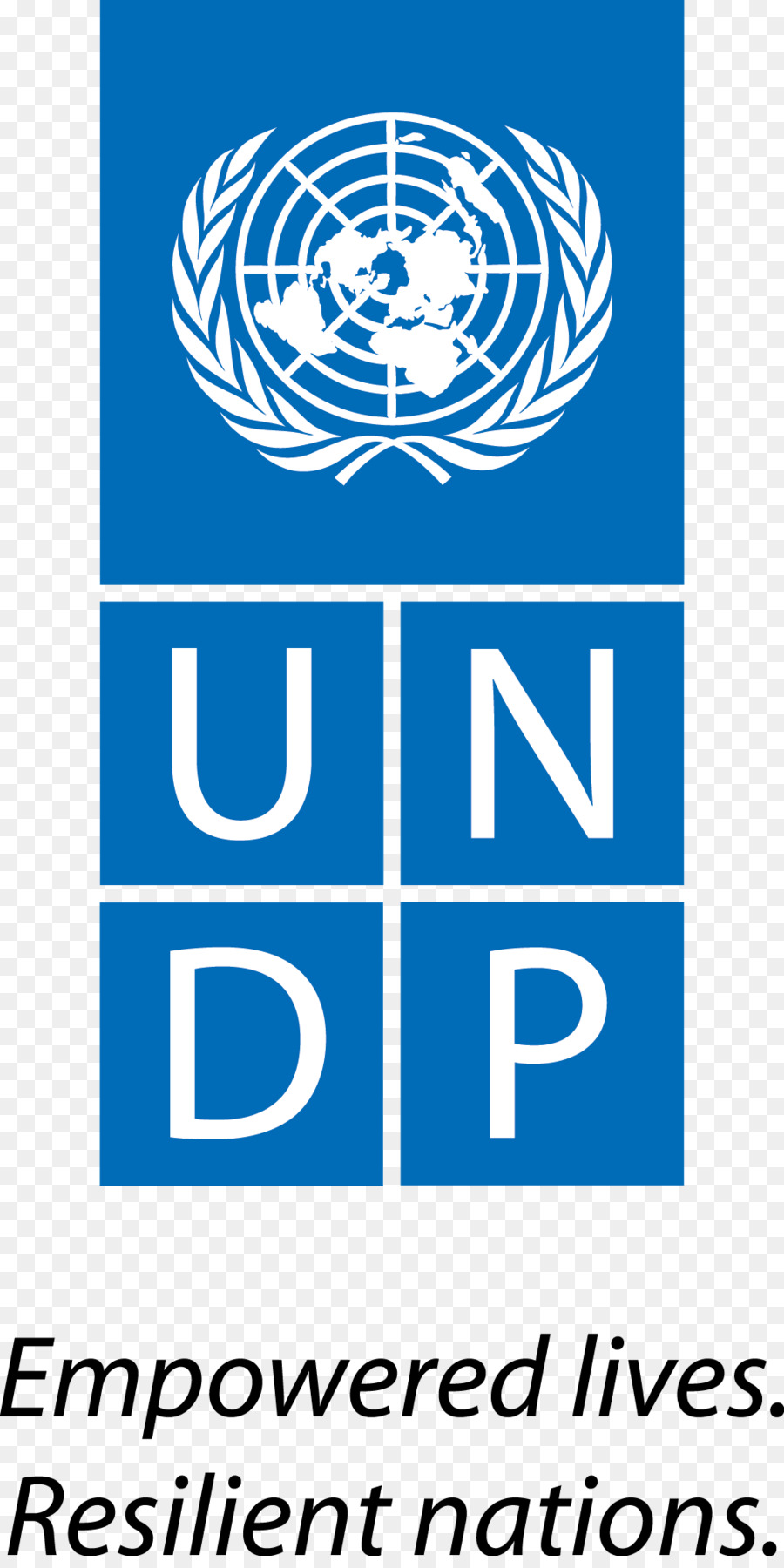 Logotipo Del Pnud，Naciones Unidas PNG