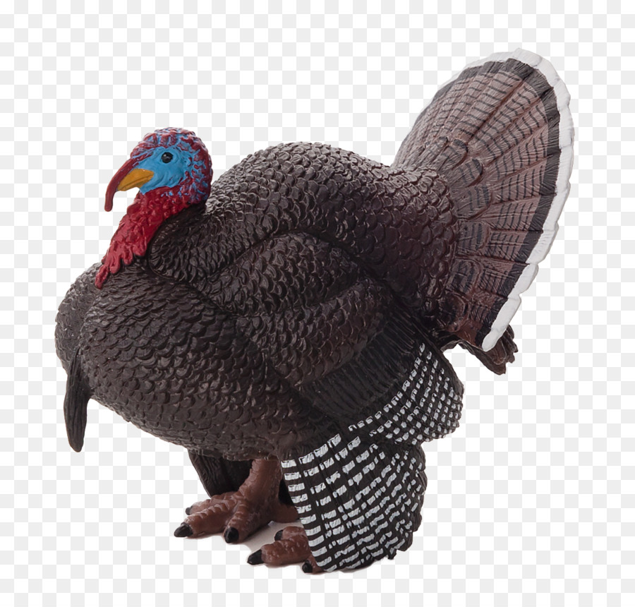 Turquía，Pavo Domesticado PNG