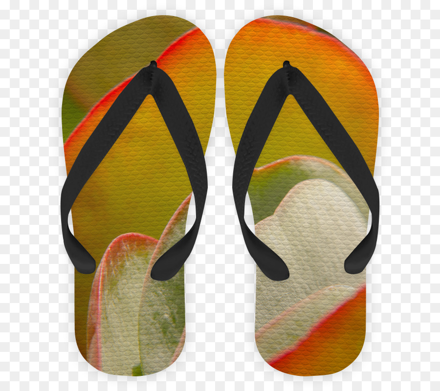 Flipflops，Arte PNG