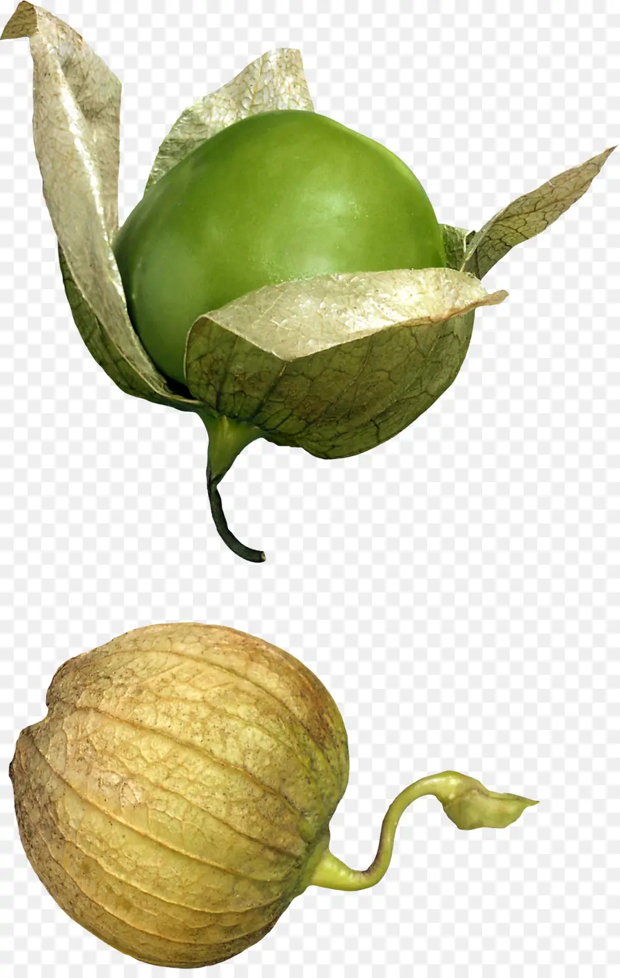 Tomatillo，La Cocina Mexicana PNG