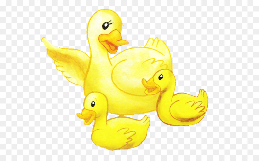 Pato，Ganso PNG