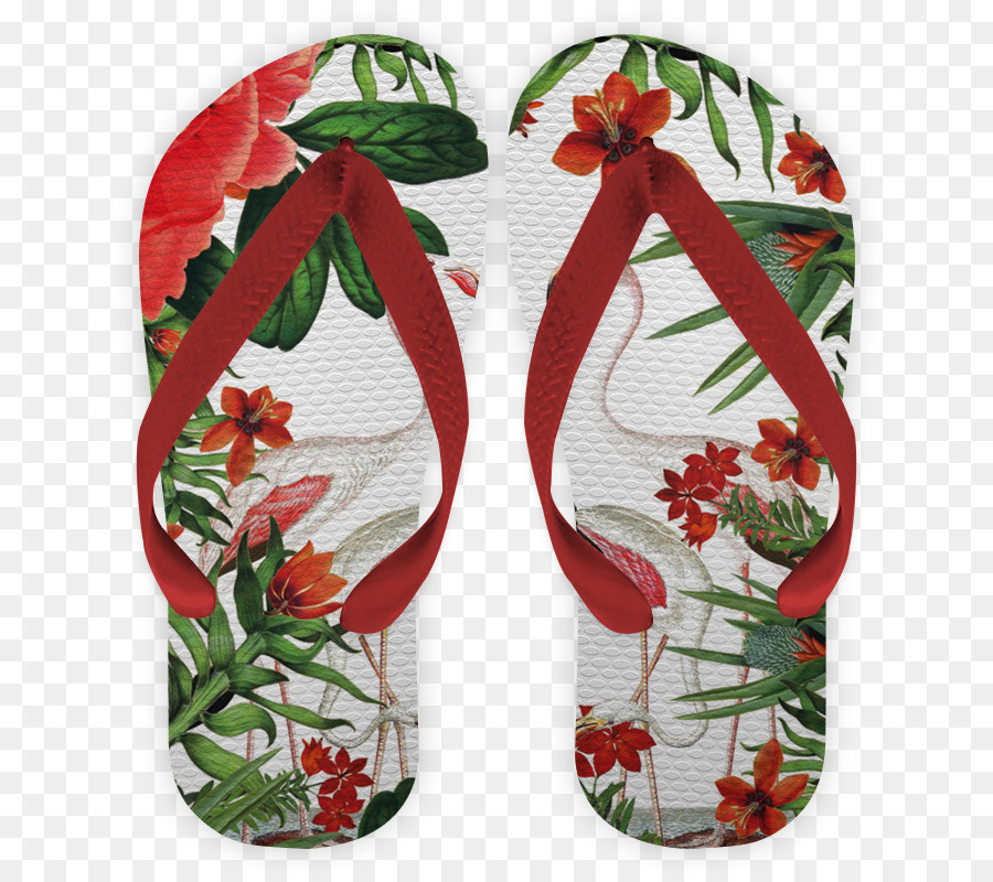 Chanclas，Sandalias PNG