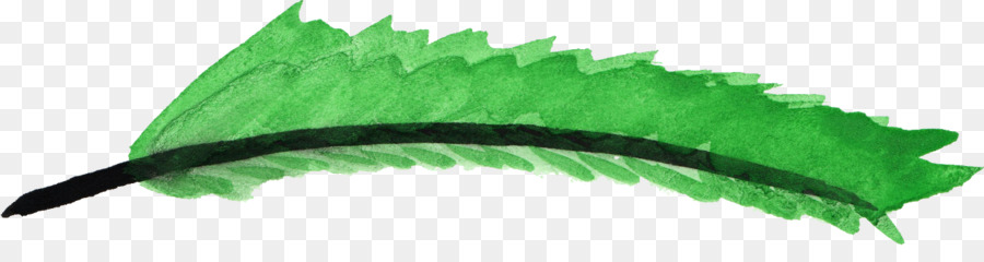 Verde，Pluma PNG