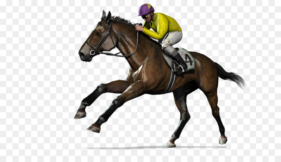 Carreras De Caballos，Jockey PNG