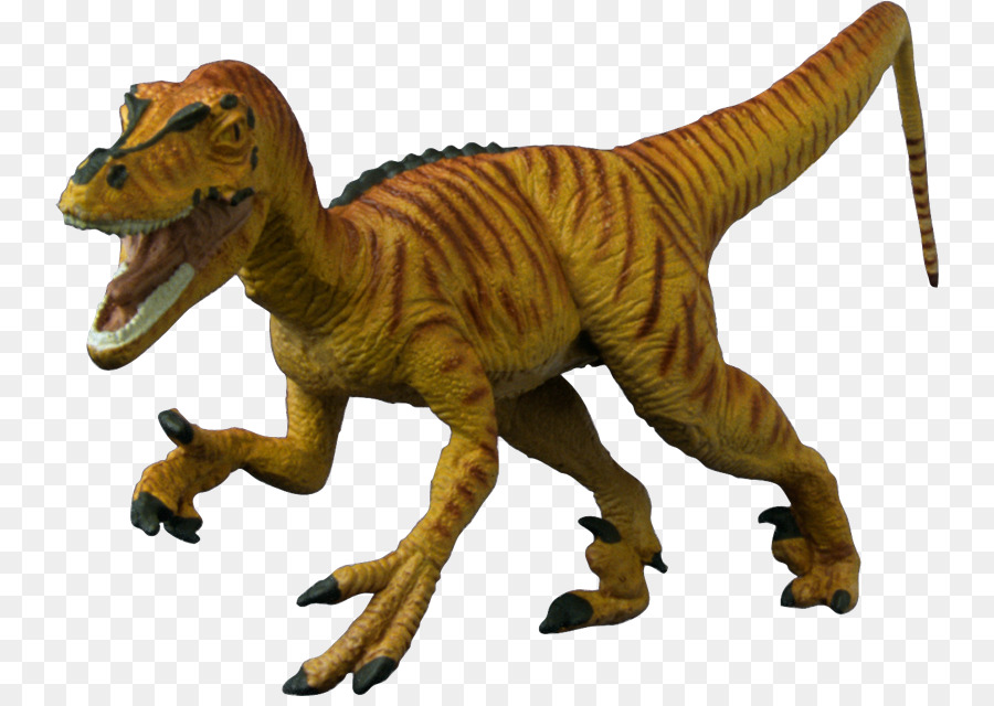 Dinosaurio，Jurassic Park PNG