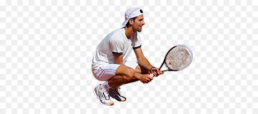 Fondo De Escritorio，Tenis PNG