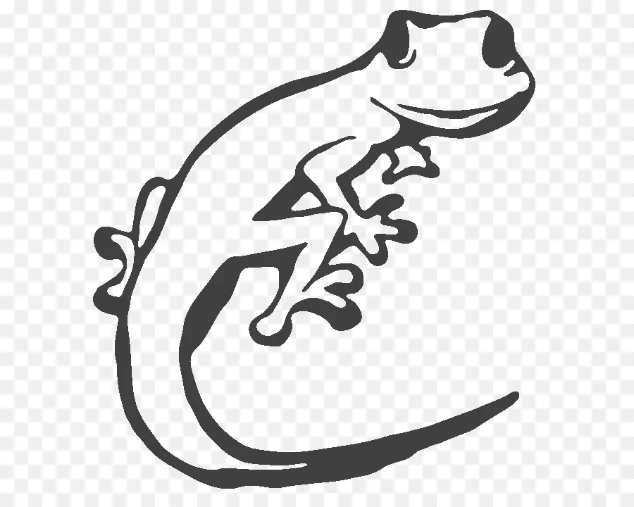 Geco，Lagarto PNG