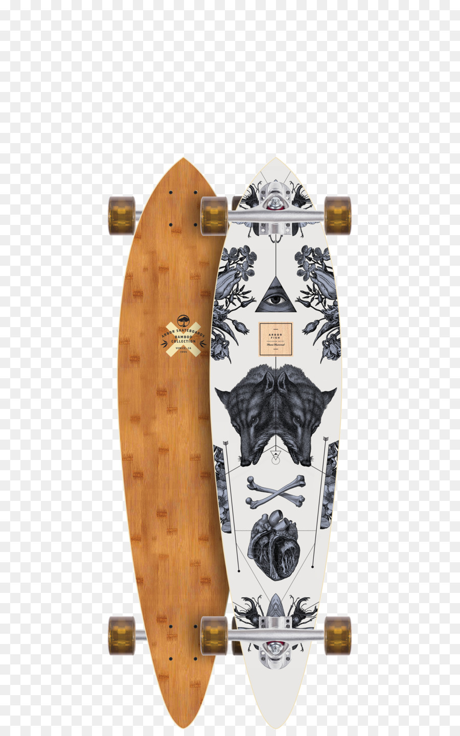 Longboard，Patineta PNG