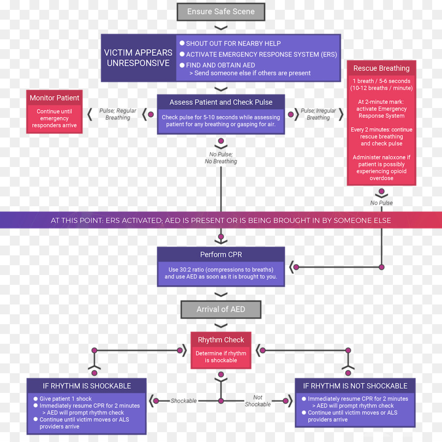 Diagrama De Flujo De Rcp，Emergencia PNG