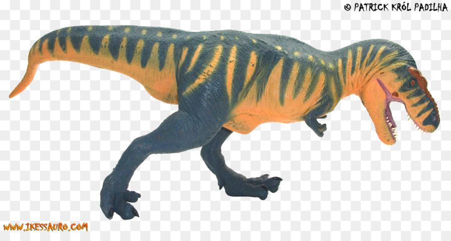 Tyrannosaurus，Velociraptor PNG