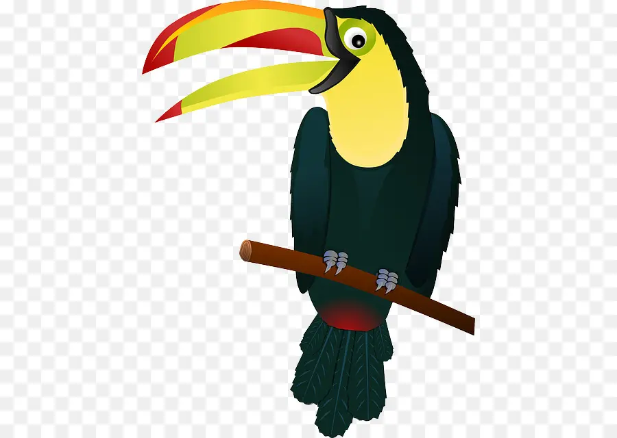 Pájaro，Tucán PNG