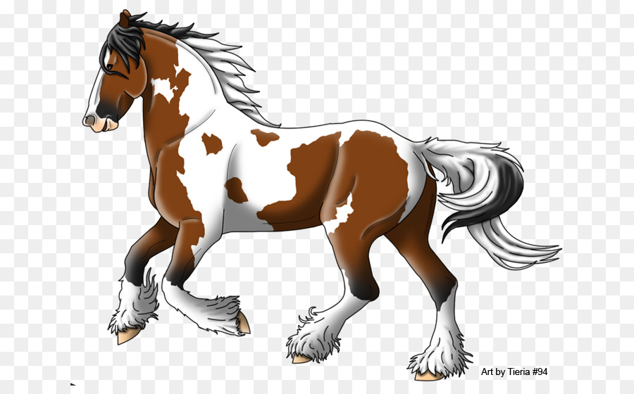 Caballo，Equino PNG