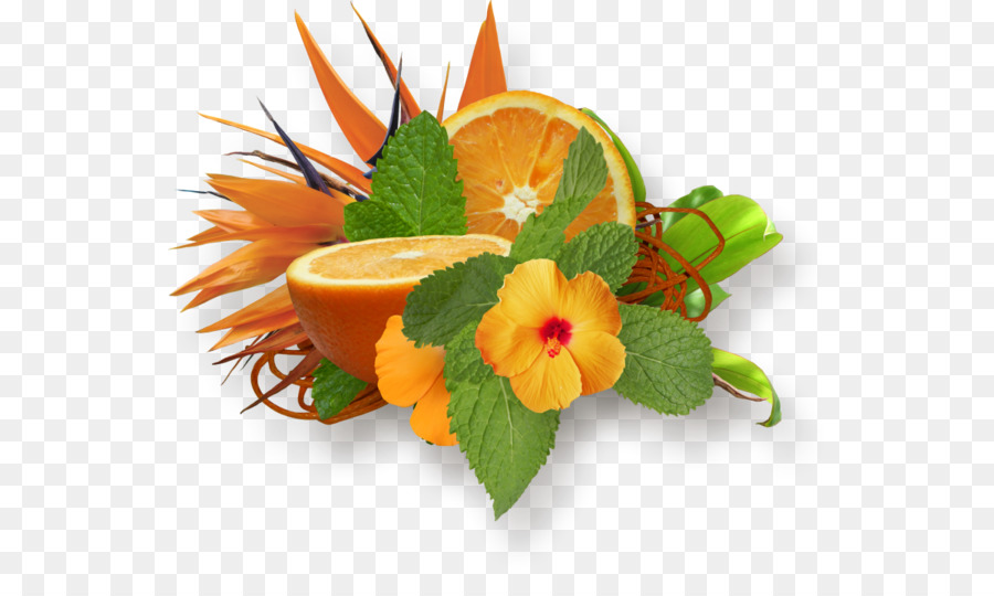 Naranja Y Flores，Hibisco PNG