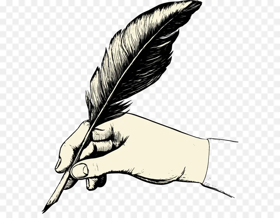 Pluma De Pluma，Mano PNG