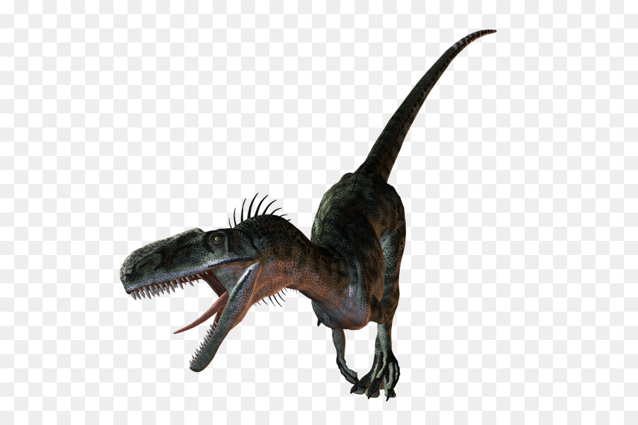 Velociraptor，Dinosaurio PNG