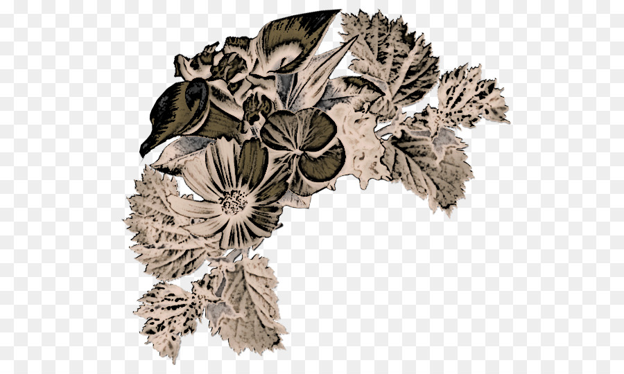 Diseño Floral Antiguo，Flores PNG