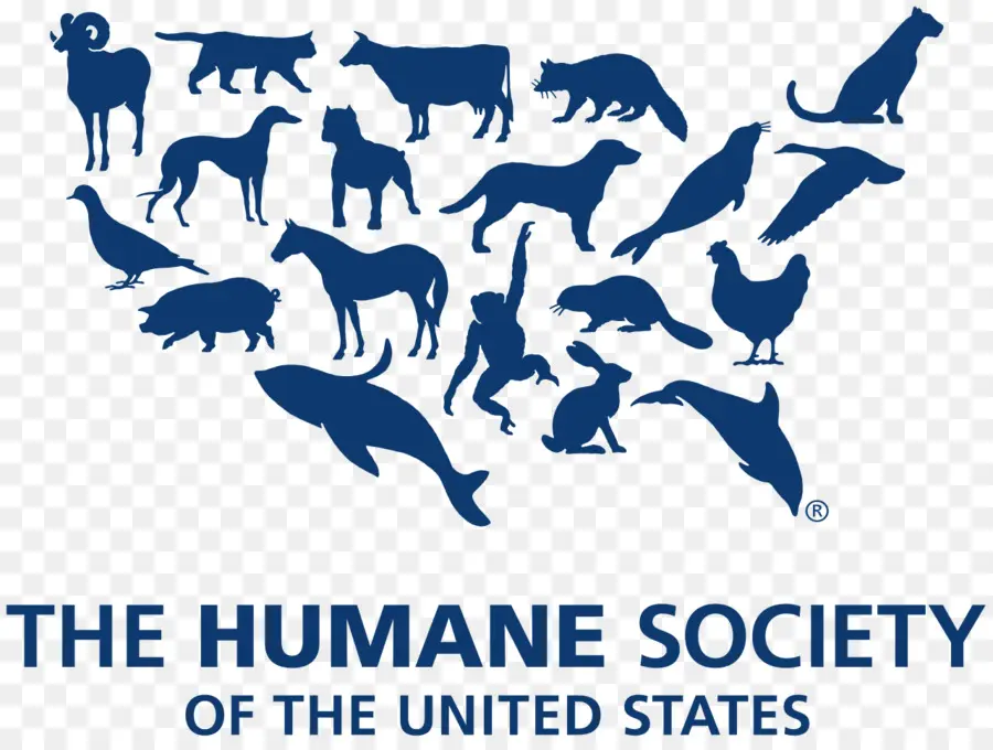 Sociedad Protectora De Animales De Los Estados Unidos，Organización PNG
