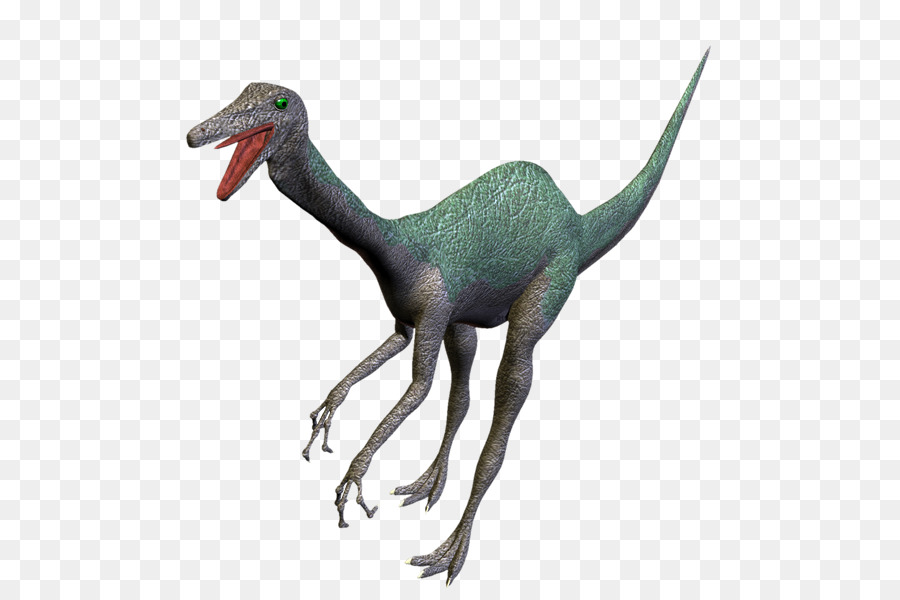 Velociraptor，Dinosaurio PNG