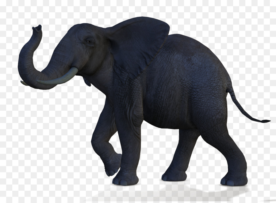 Elefante Africano De Sabana，Elefante PNG