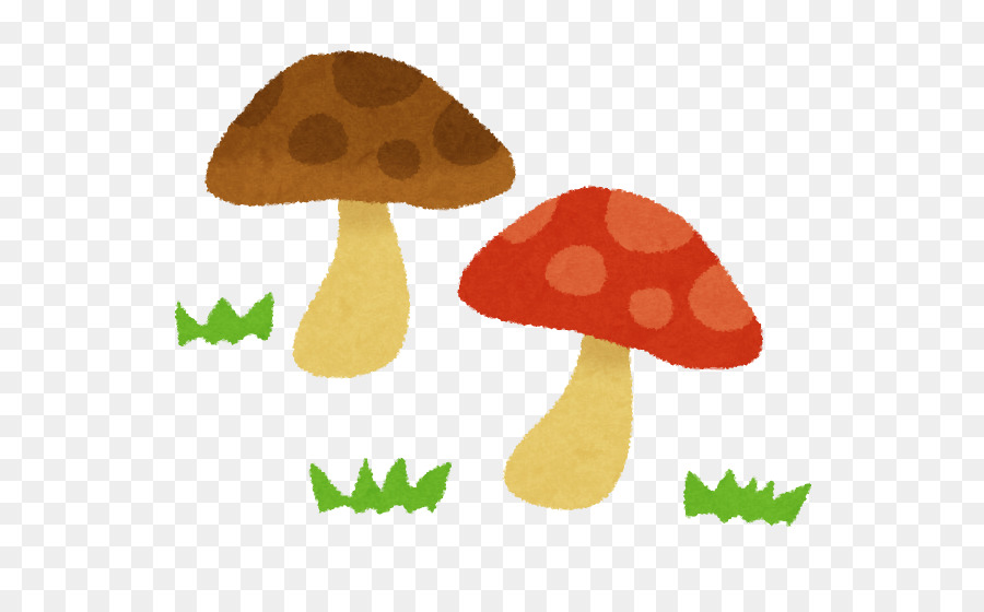 Seta，Shiitake PNG