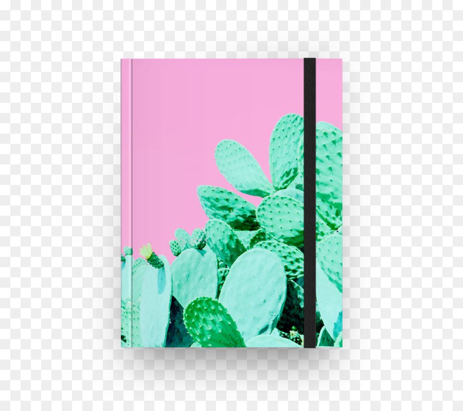 Papel，Cactaceae PNG