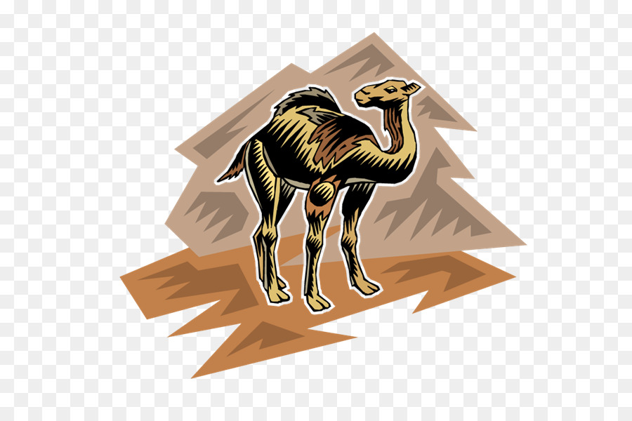 Camello，Photoscape PNG