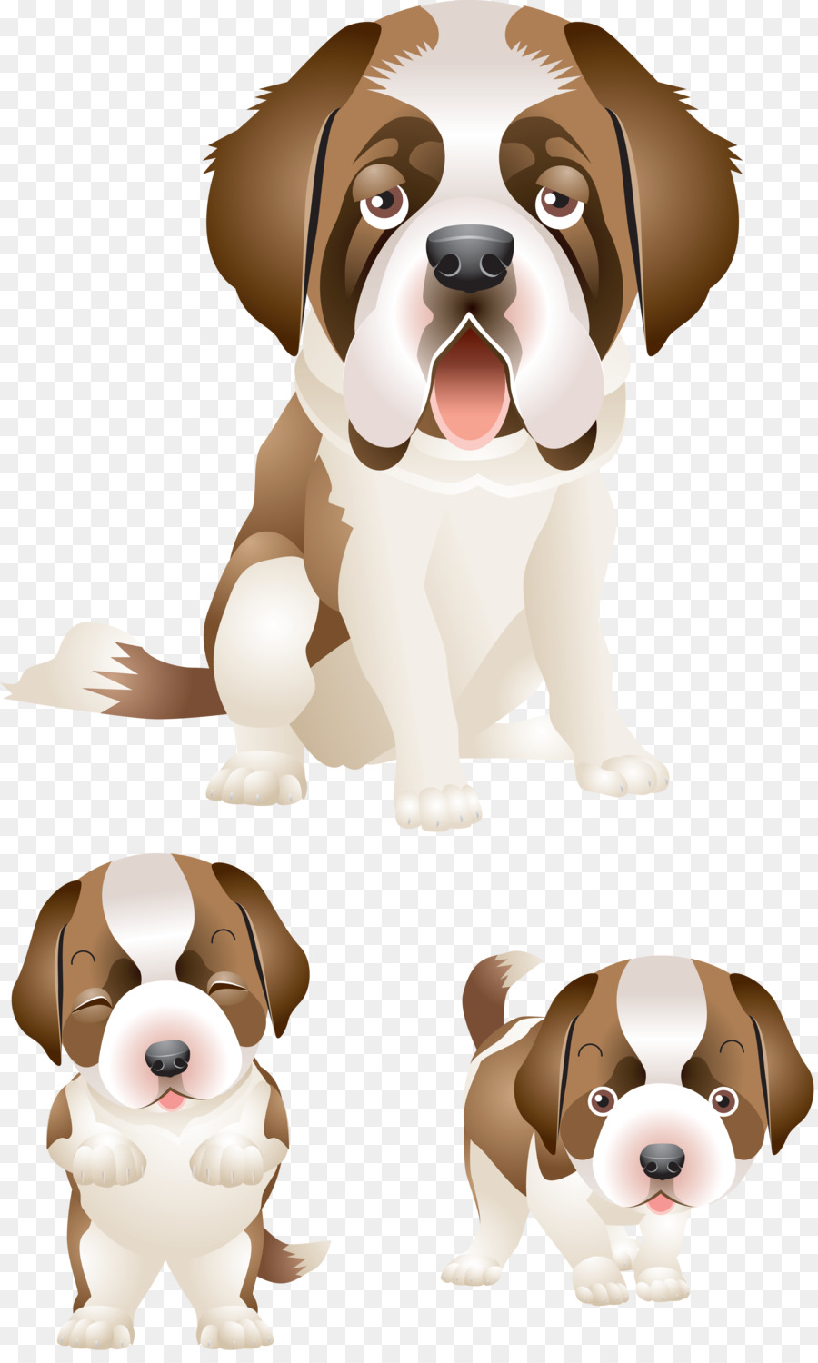 San Bernardo，Cachorro PNG